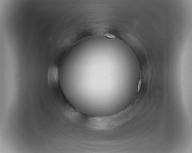 X0000113560041200909251107