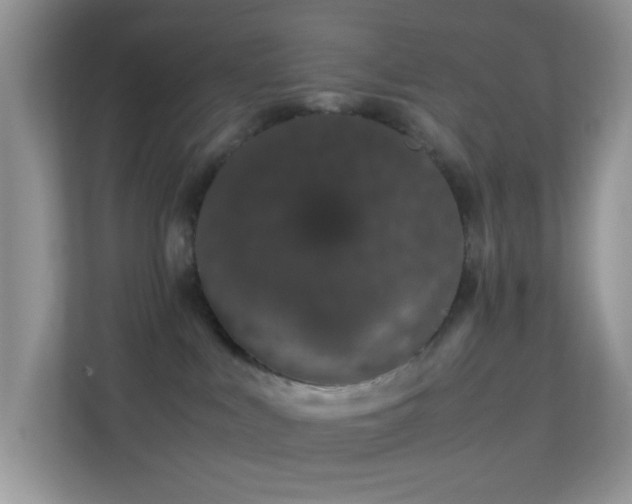 X0000113560043200909251107