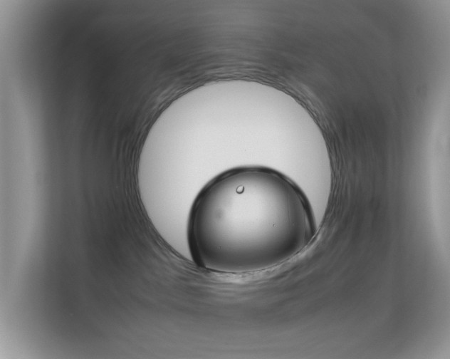 X0000113560045200909251107