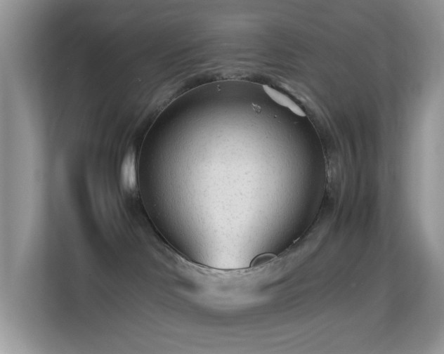 X0000113560046200909251107