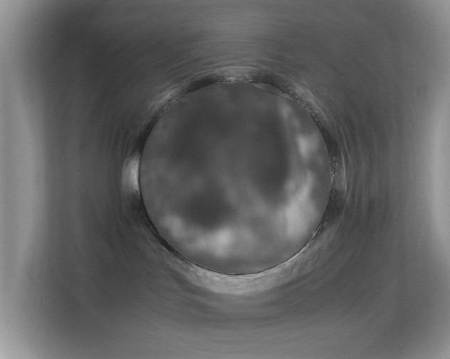 X0000113560047200909251107