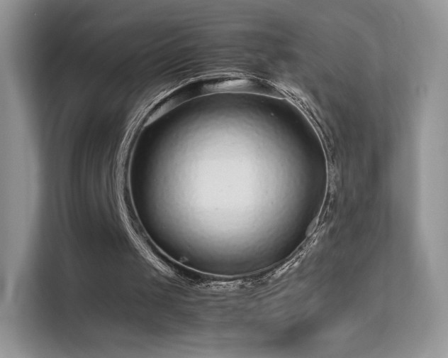 X0000113560049200909251107