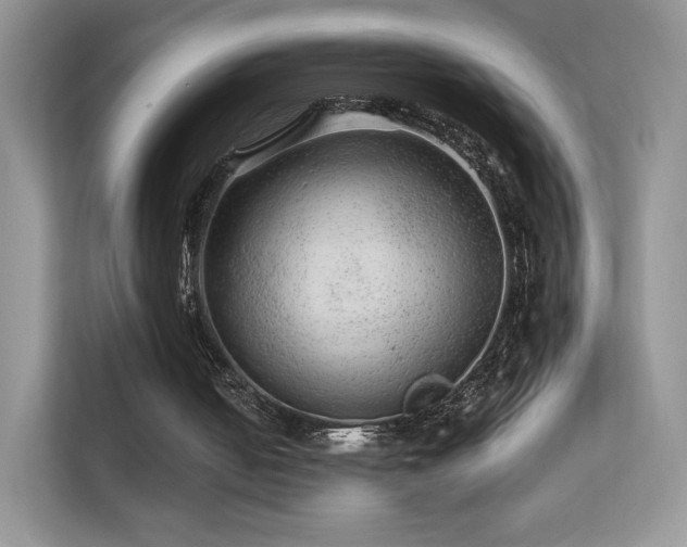 X0000113560050200909251107