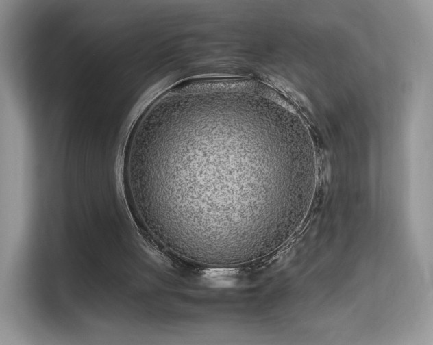 X0000113560051200909251107