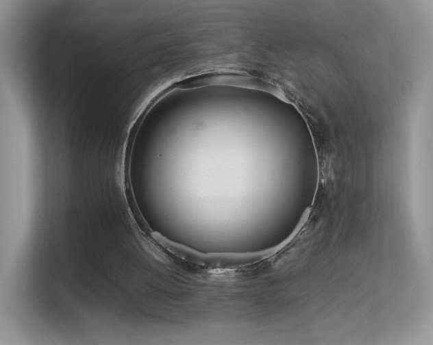 X0000113560052200909251107