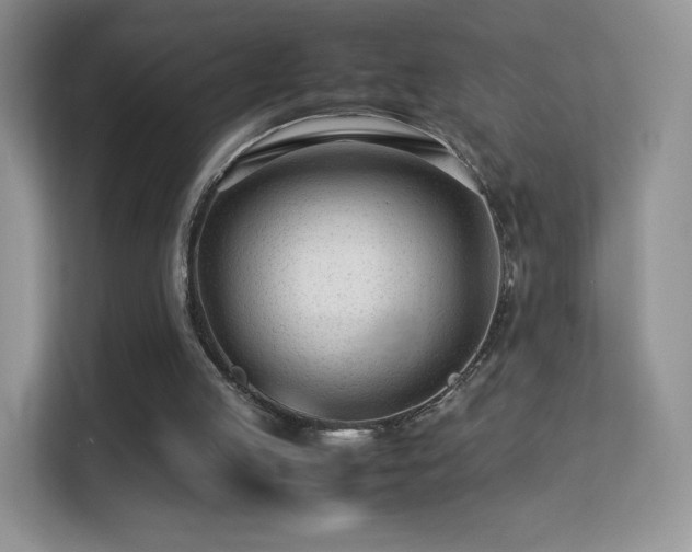 X0000113560053200909251107