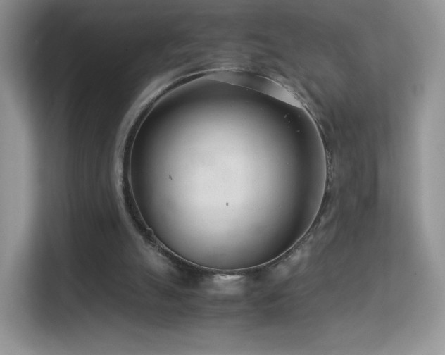 X0000113560055200909251107