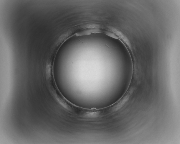 X0000113560057200909251107