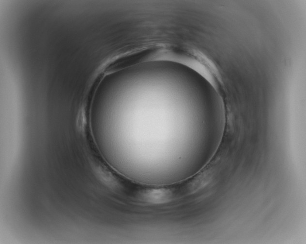 X0000113560059200909251107