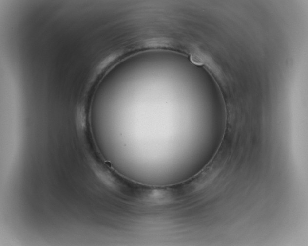 X0000113560060200909251107
