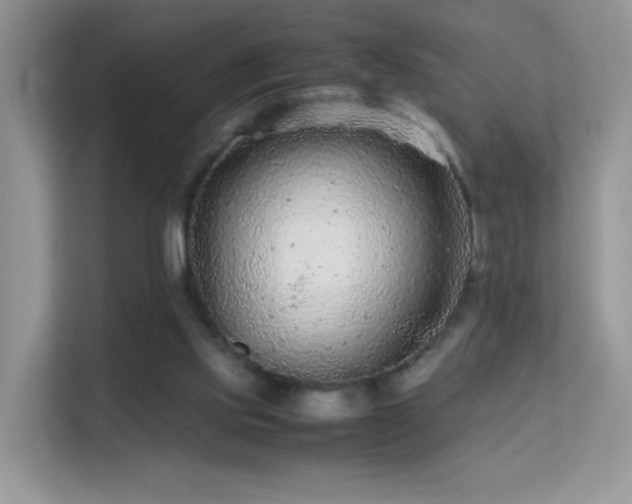 X0000113560061200909251107