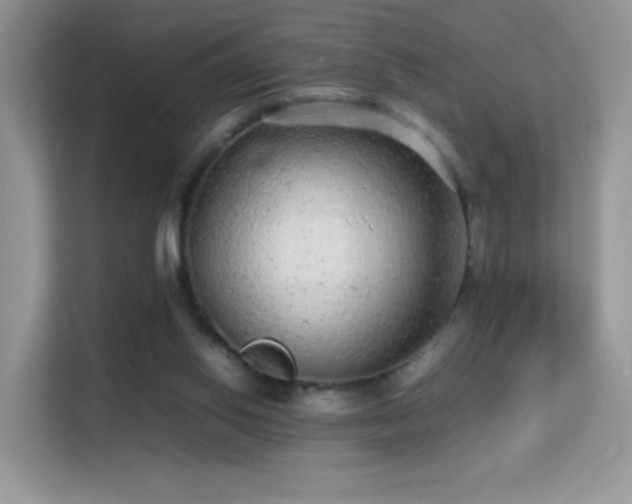 X0000113560062200909251107
