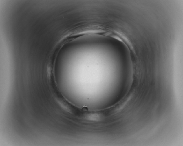X0000113560063200909251107