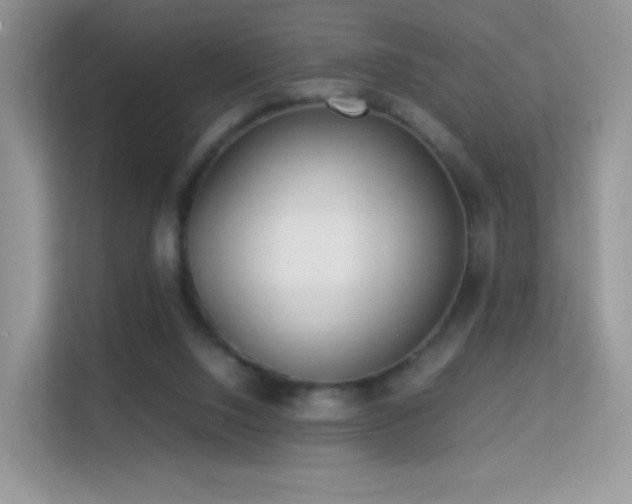 X0000113560064200909251107