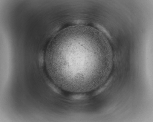 X0000113560065200909251107