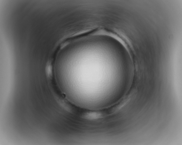 X0000113560067200909251107