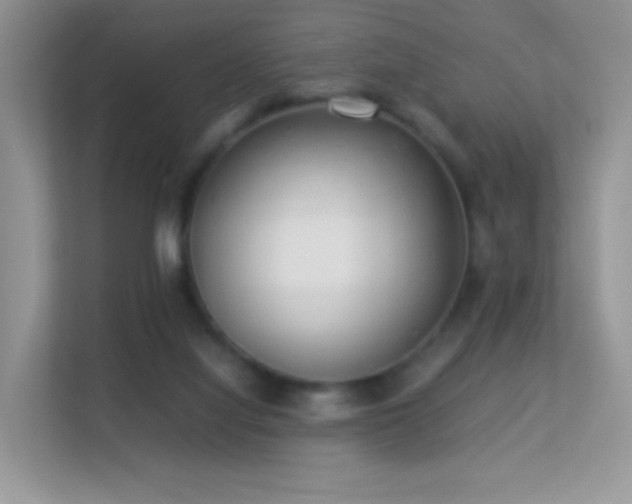 X0000113560068200909251107