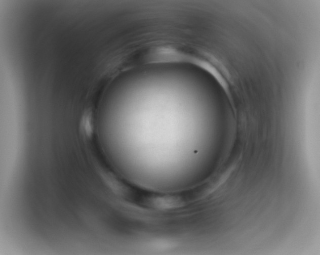 X0000113560069200909251107