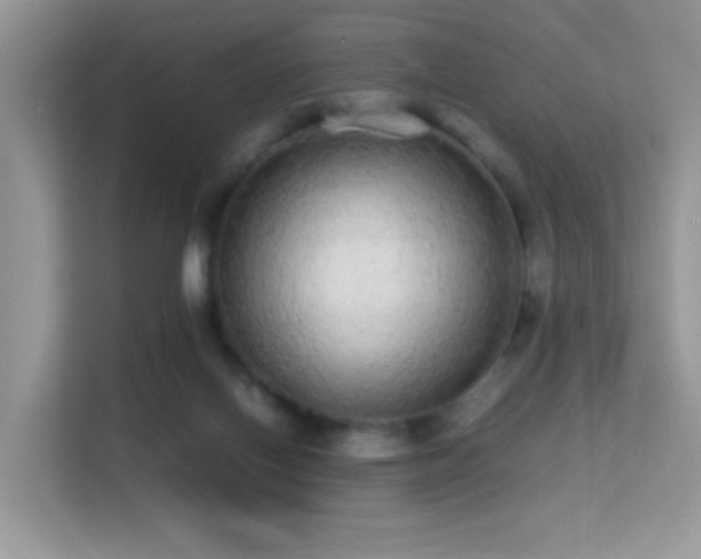 X0000113560070200909251107