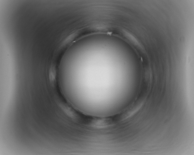 X0000113560072200909251107