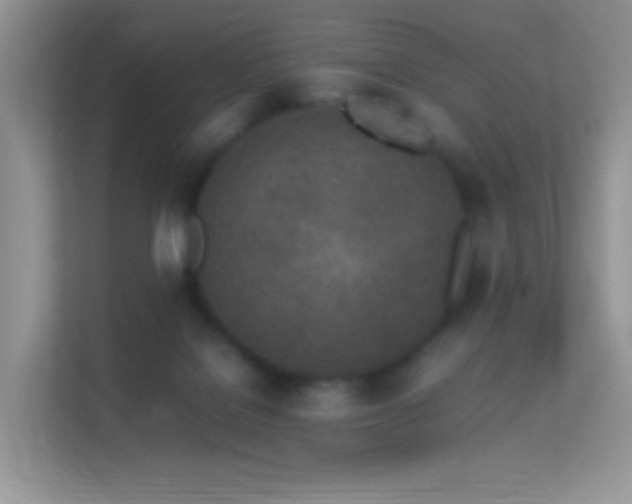 X0000113560076200909251107