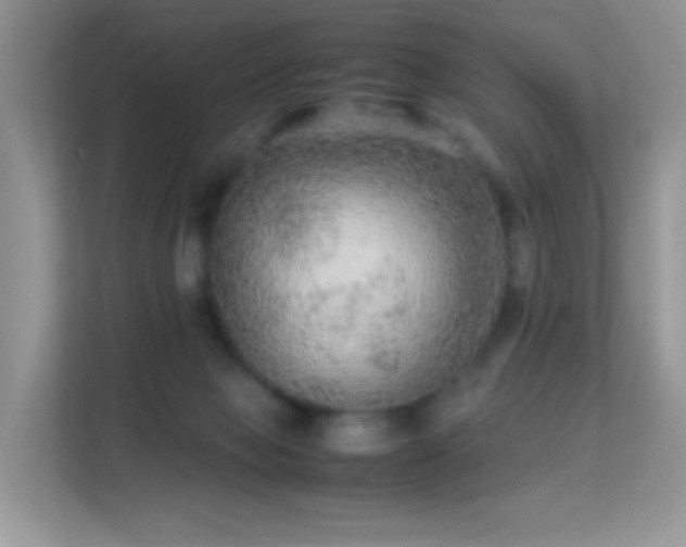 X0000113560077200909251107