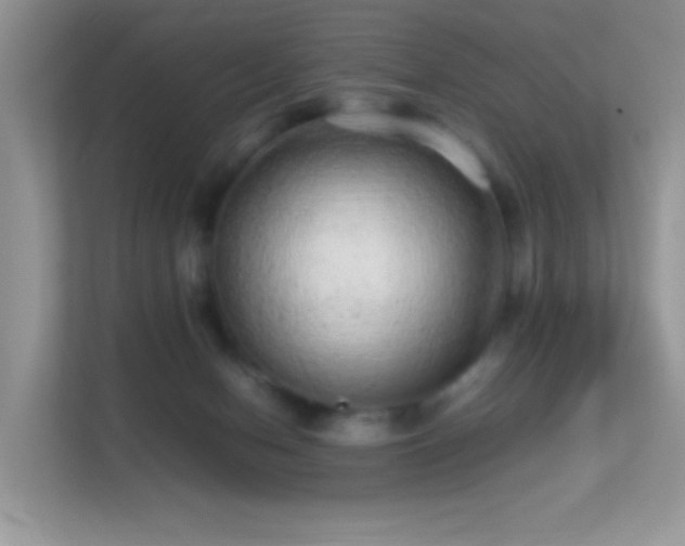 X0000113560078200909251107
