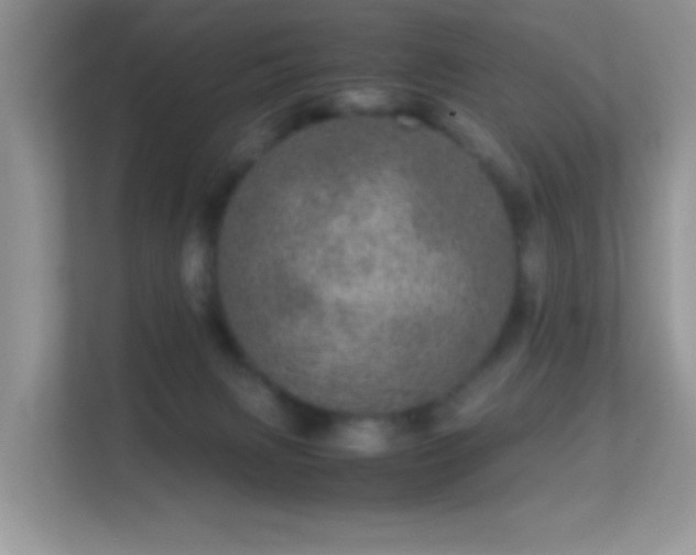 X0000113560079200909251107