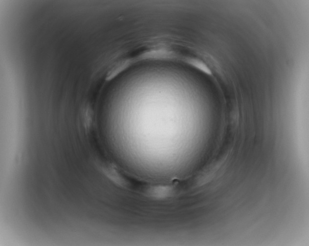 X0000113560081200909251107