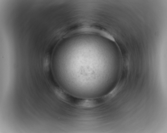 X0000113560082200909251107