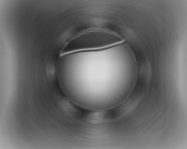 X0000113560084200909251107
