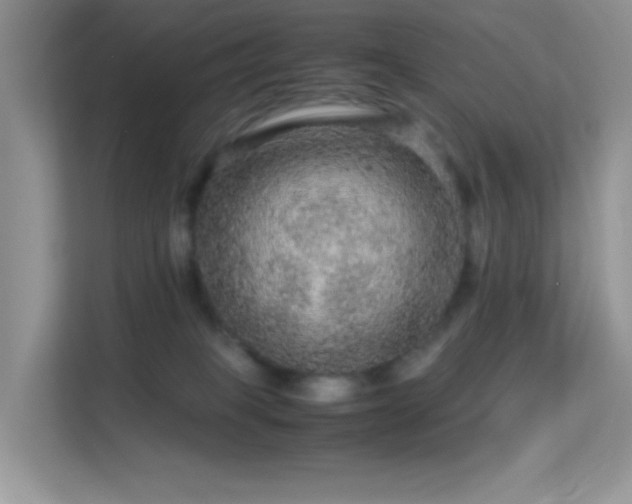 X0000113560085200909251107