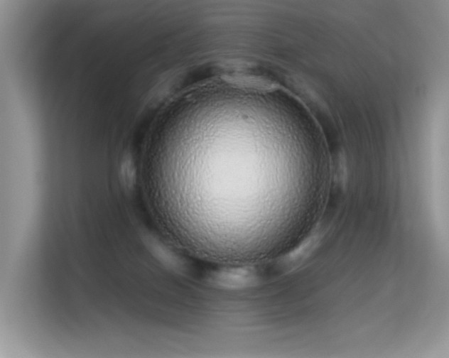 X0000113560086200909251107