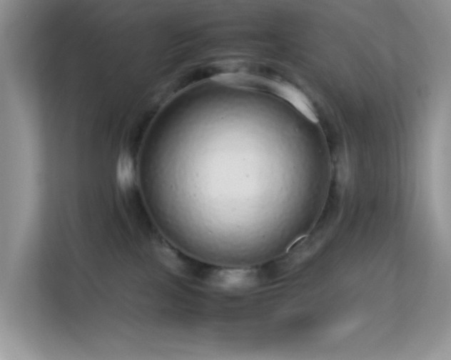 X0000113560089200909251107