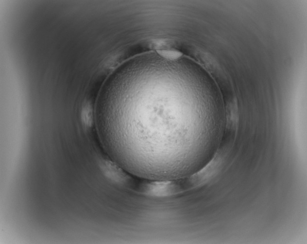 X0000113560090200909251107