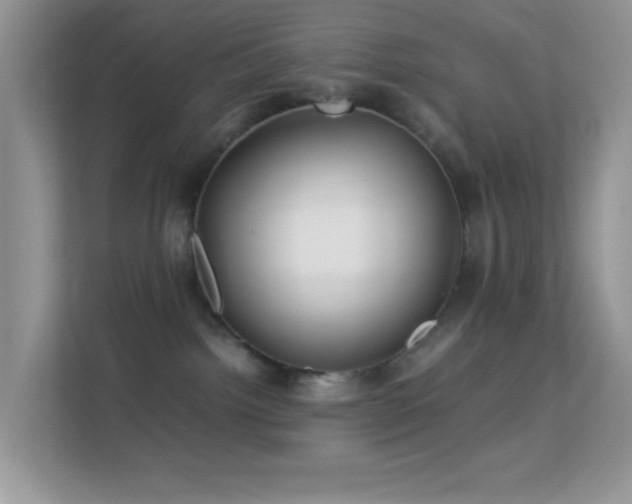 X0000113560092200909251107