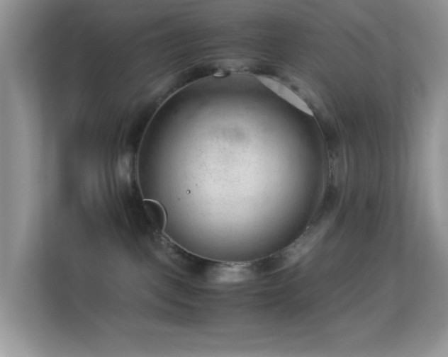 X0000113560093200909251107