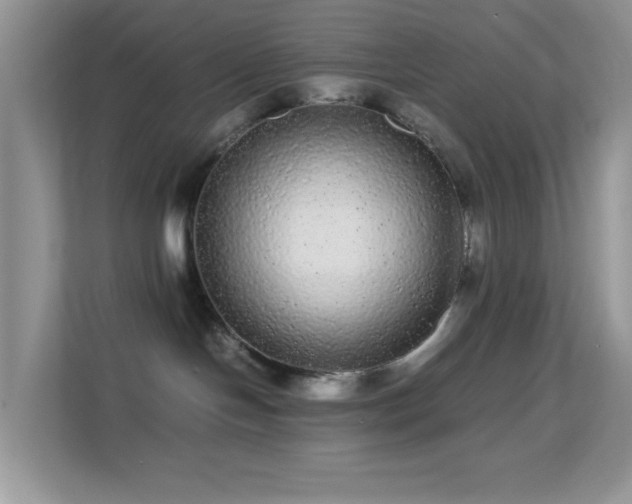 X0000113560094200909251107