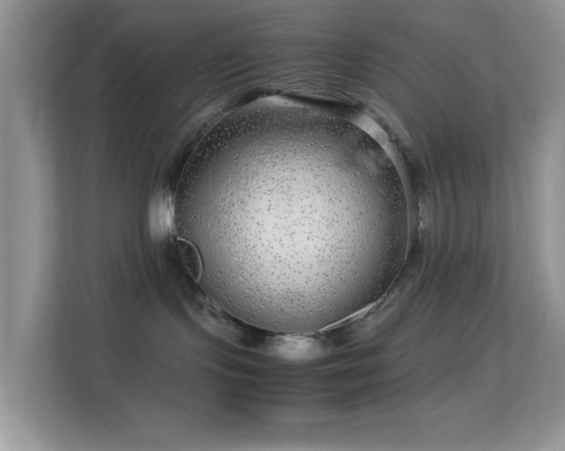 X0000113560095200909251107
