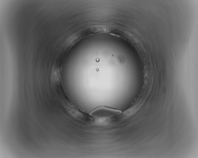 X0000113560096200909251107