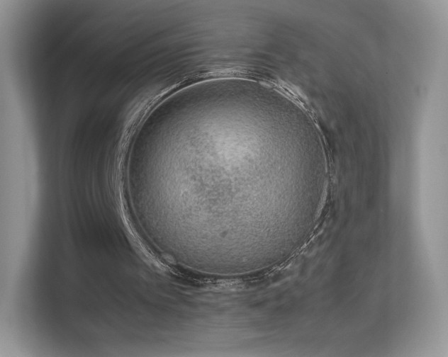 X0000113560097200909251106