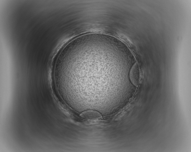 X0000113560098200909251106