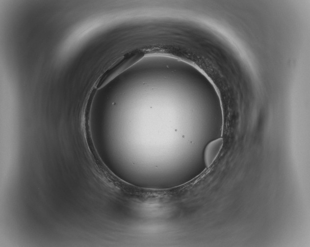 X0000113560099200909251106