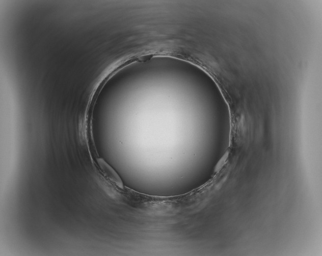 X0000113560100200909251106