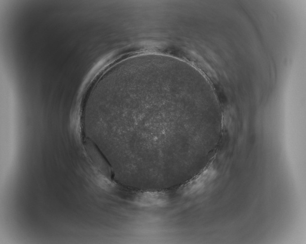 X0000113560101200909251106