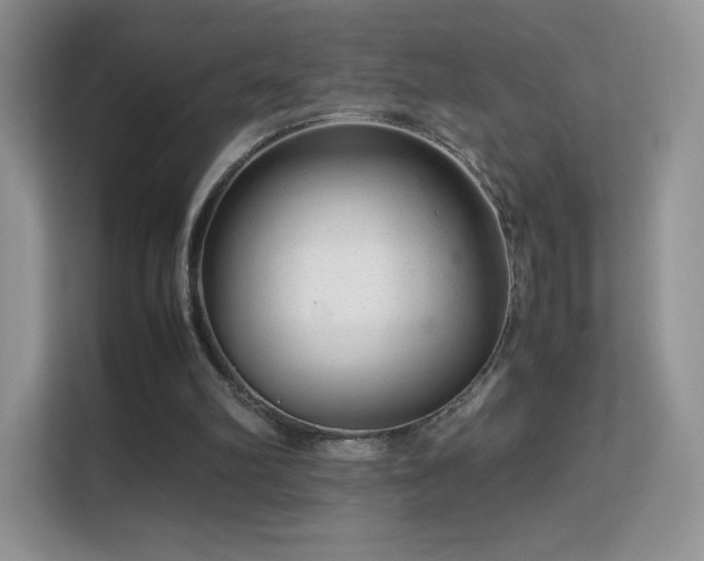 X0000113560102200909251106