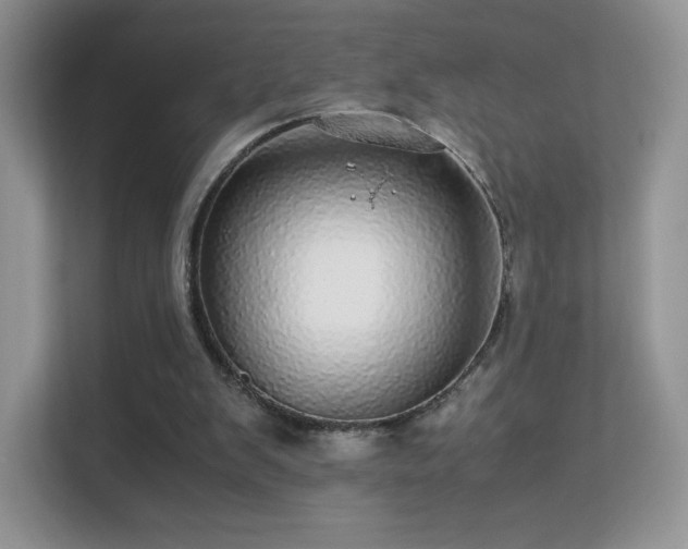 X0000113560103200909251106