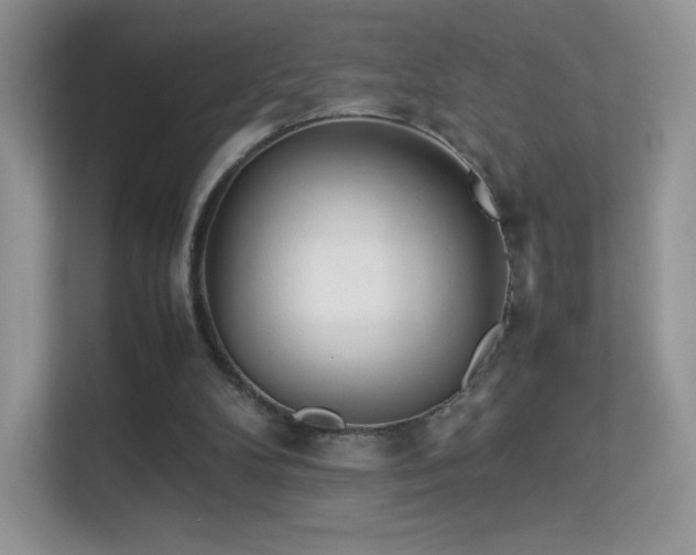 X0000113560104200909251106