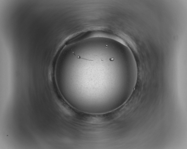 X0000113560107200909251106