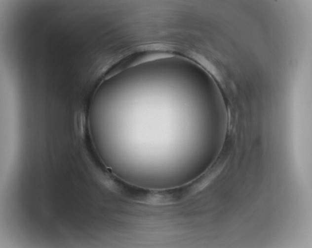 X0000113560109200909251106